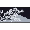 Aqua Control II Mousepad - Sakura Night - XXL
