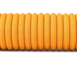 Ascended Cable V2 Glorious Gold