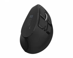 Euphonie Pro Wireless Vertical Mouse - Black