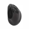 Euphonie Vertical Wireless Mouse