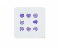 Fox Gaze - Universal Dots - Purple