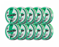 Pouch Energy - Blizzard Mint (10-Pack)