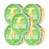 Pouch Energy - Lemon & Cactus (5-Pack)