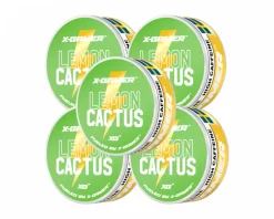 Pouch Energy - Lemon & Cactus (5-Pack)
