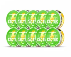 Pouch Energy - Lemon & Cactus (10-Pack)