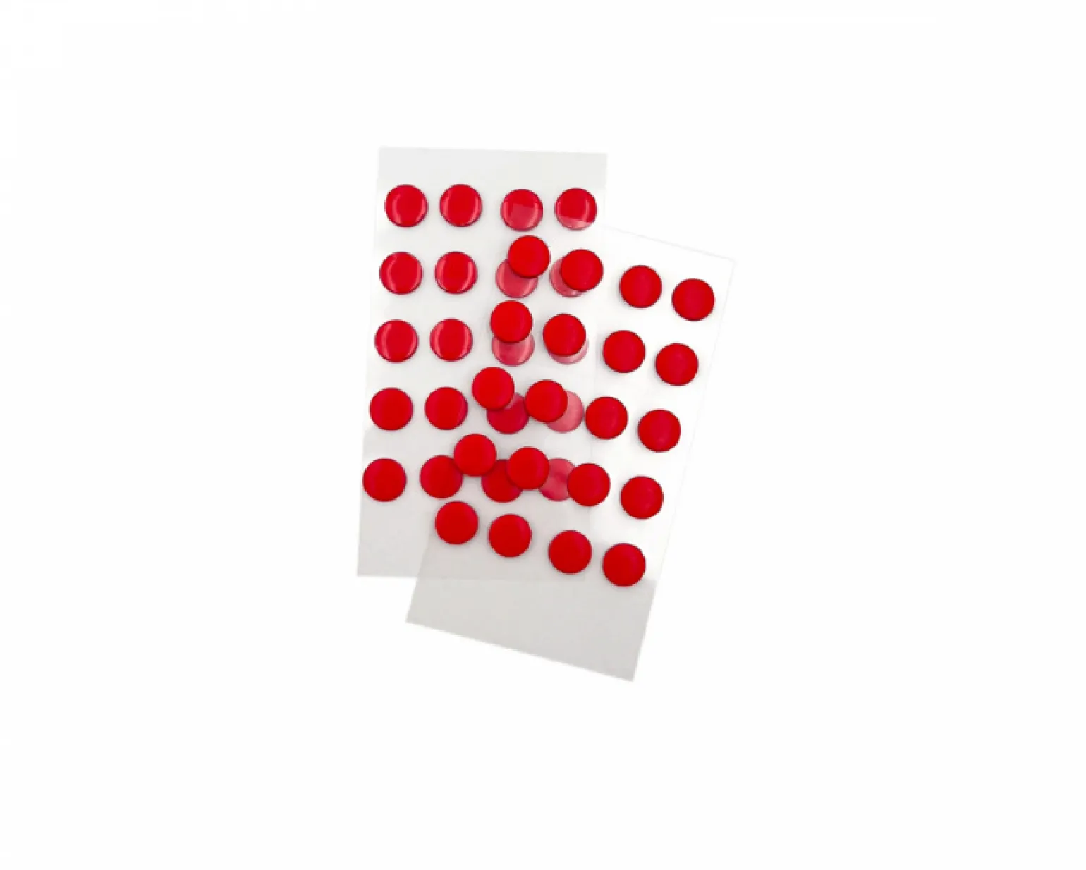 Skate - Ruby - Dots