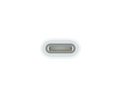 USB-C to Apple Pencil Adapter