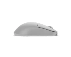 XM2w 4k (v2) - Wireless Gaming Mouse - White Frost